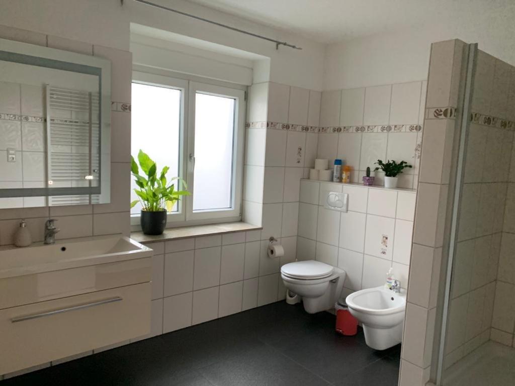 Guenstige Zimmer-unterkunft Mit Gemeinschaftsbad Apartment Lorrach