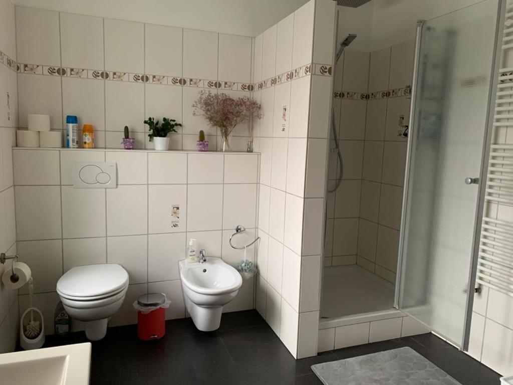 Guenstige Zimmer-unterkunft Mit Gemeinschaftsbad Apartment
